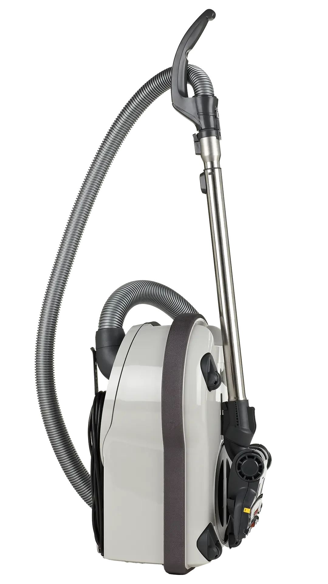 SEBO Professional D8